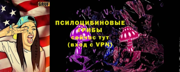 mdpv Козельск
